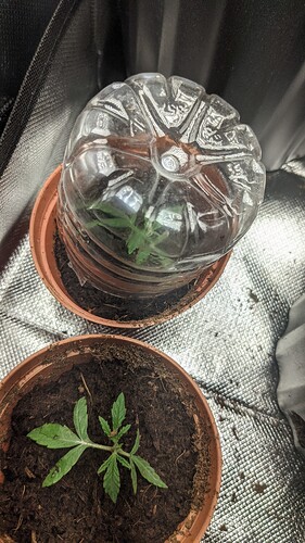 PXL_20211022_161113571