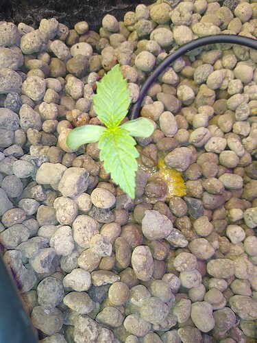 IMG_20210419_110130130