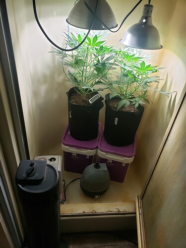 16146183198485712200979527373740