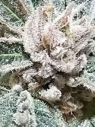 20210618_103627