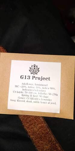 received_3437365369705436