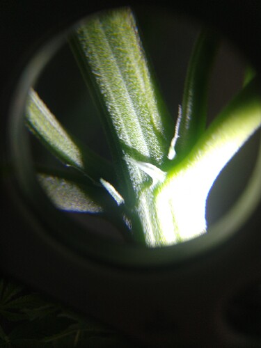 IMG_20210302_182244652