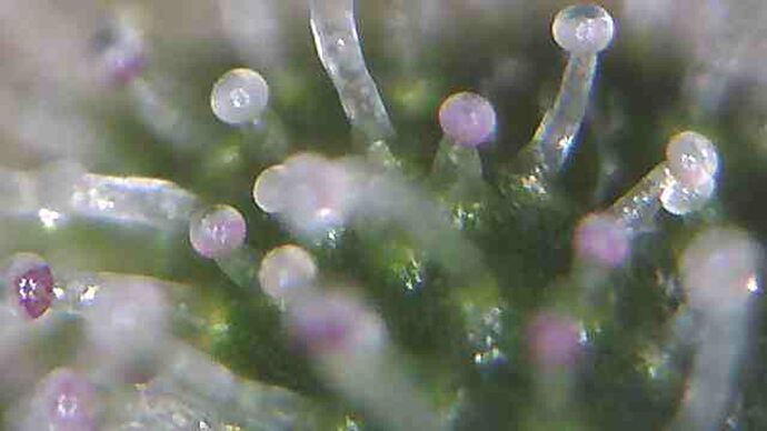 20210112_043804292