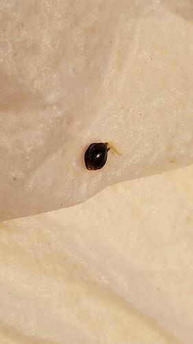 20201123_140105
