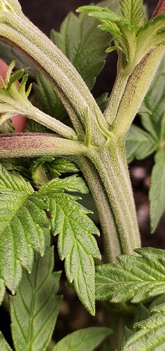 20201223_082827