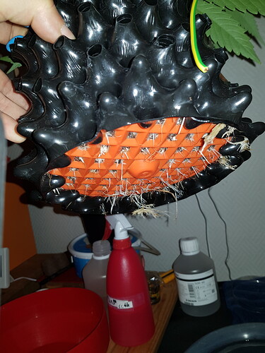 20210311_102922