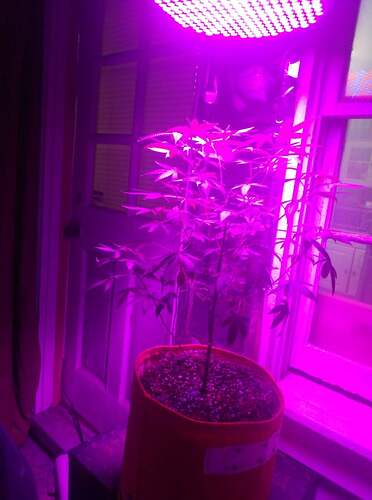 259115258_951718365770425_604994838802717674_n