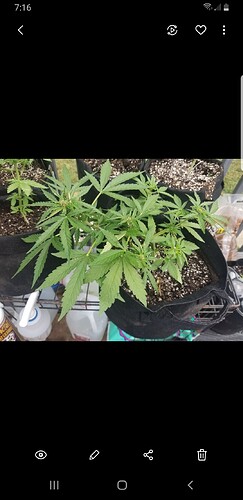 Screenshot_20210714-191607_Gallery