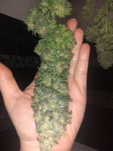 IMG_20210615_012456719