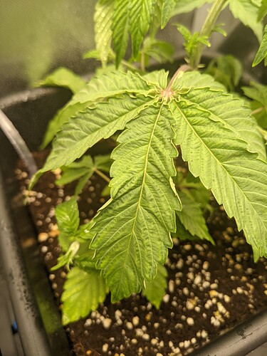 PXL_20211130_030414488