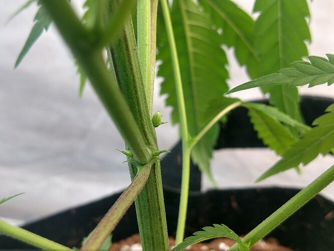 IMG_20210302_155914434_HDR