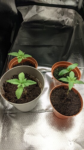 PXL_20211019_213715243