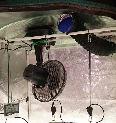 20201226_Tent 2-1