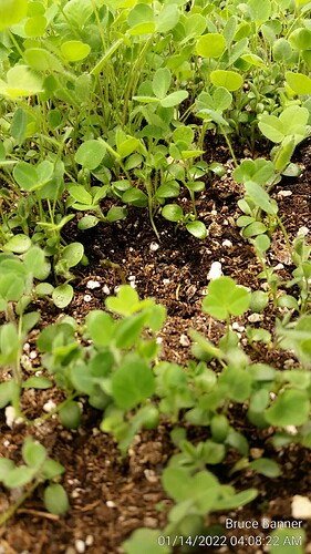 20220114_040822