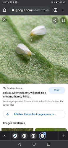 Screenshot_20210618_220729_com.android.chrome
