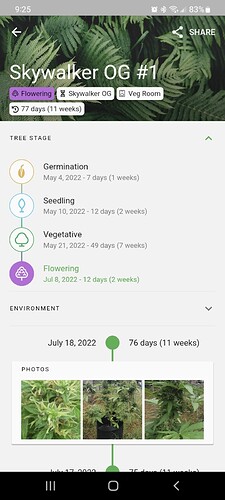 Screenshot_20220719-092518_Jane