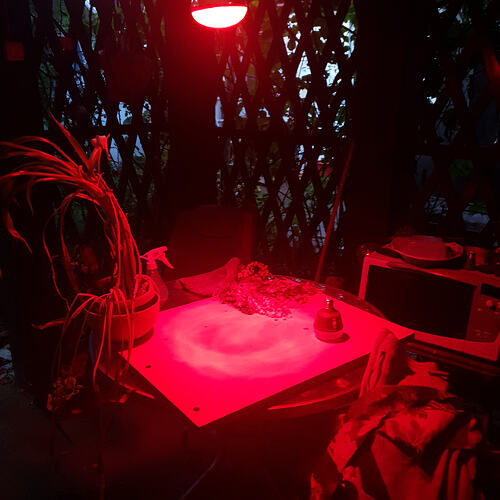 20260608_205009