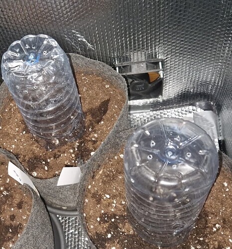 Screenshot_20230825_132737_Gallery