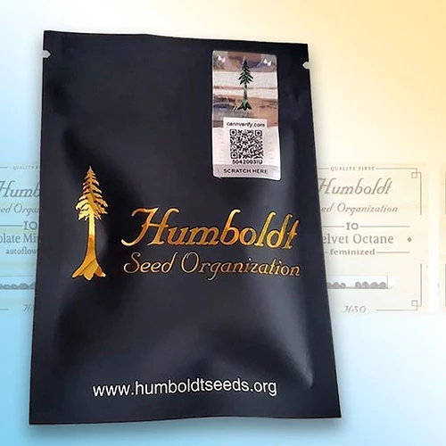 humboldt