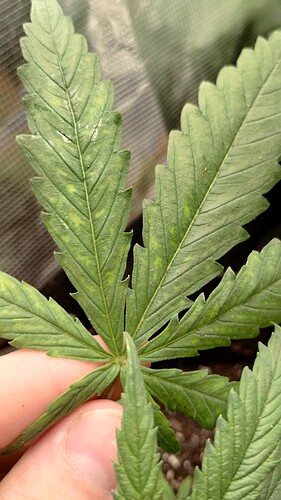 IMG_20231114_114543238_HDR