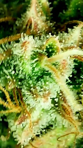 2024_05_28_17_41_38_737_exported_44360