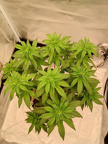 IMG_20260913_192508809_HDR