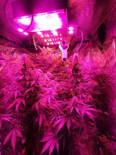 IMG_20230513_190554782