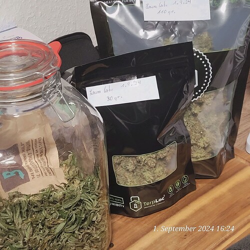 Tag 105 , Trimm fertig - 140,50 gr getrocknete Blüten , der Lava Cake 1.9.24