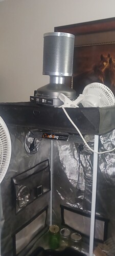 17658174294067775891140083869370