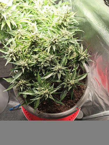 ac1297ad-fed0-482c-bab6-28d013b3093b-1_all_57235