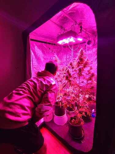 IMG_20230602_225444256_HDR