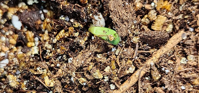 Resized_20230829_182703