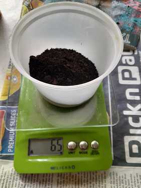 IMG-20220413-WA0021