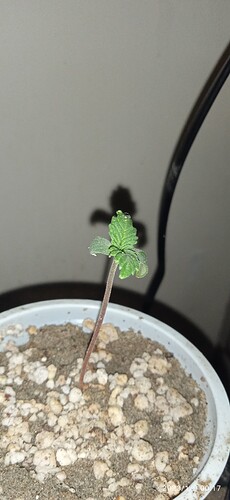 IMG_20230109_001745