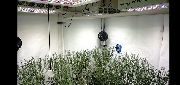 Screenshot_20220305-153117_Chrome