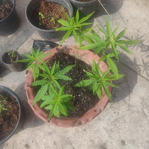 16922444966168876524910139820882