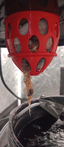 IMG_20240601_215311827