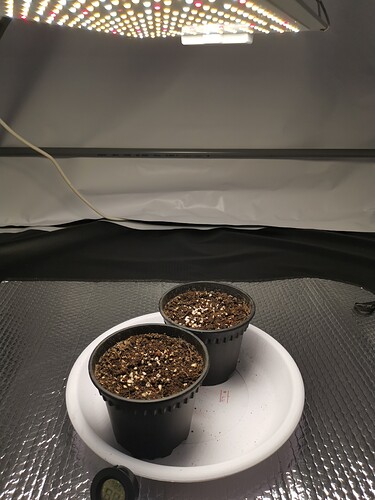 1648479281148498654912876959672