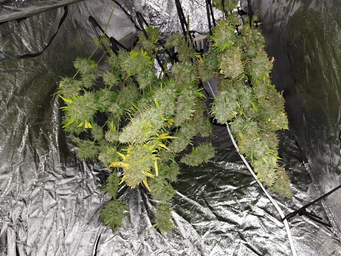 IMG_20230529_221313037