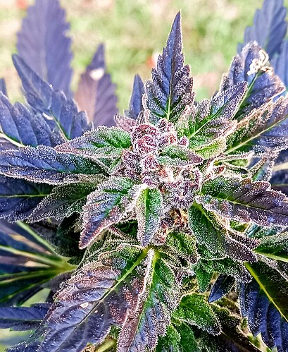 20220602_161710 - Copy