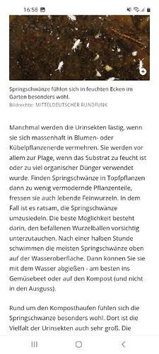 Screenshot_20260206-165838_Chrome