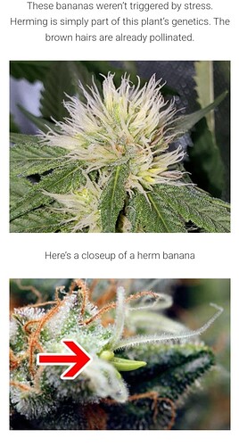 Screenshot_20220408-205259_Google