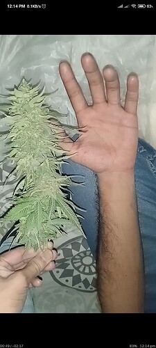 Screenshot_2022-12-10-12-14-45-286_com.mxtech.videoplayer.ad