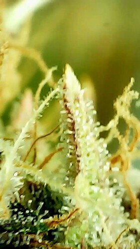 2024_05_28_17_35_40_537_exported_94760