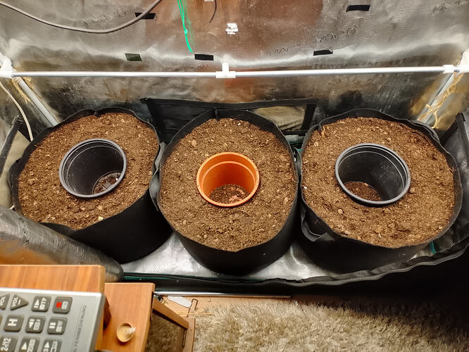 IMG_20260208_164043_HDR