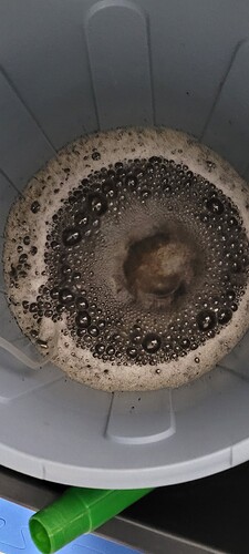 6 Komposttee nach 26 stunden Belüften und es sieht sehr gut aus 20.2.24