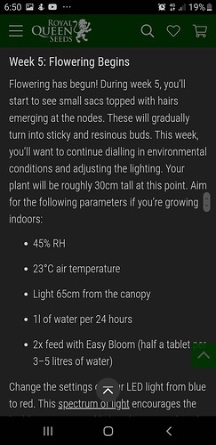 Screenshot_20231005-185028_Samsung Internet