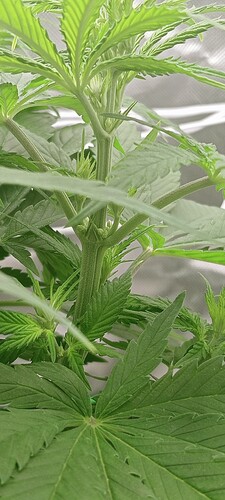 c88a5a7f-ad8a-479c-8dba-e3757d4efc16-1_all_1543