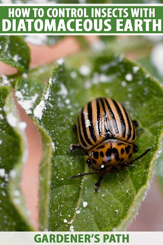 How-to-Control-Insects-with-Diatomaceous-Earth-Pin2