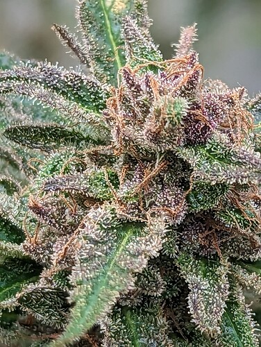 PXL_20231001_164420160